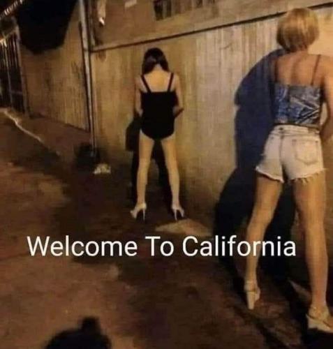 9126D192-87C6-4F95-979F-537679FAC3D5