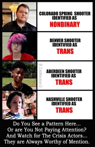 School Shooting Pattern