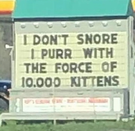 68401905_409575473007379_8441374065528143872_n