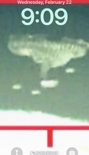 FCB74247-3030-450D-A688-2A927D7E9F0E