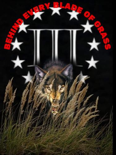 = THEY WILL COME OUT FROM THE GRASS TO THE STREETS