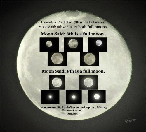 Moon Said
