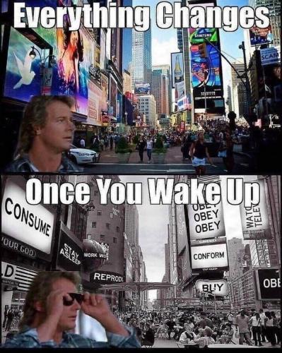They Live -- Everything Changes AFTER You Wake Up