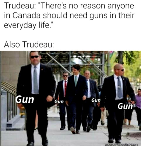 Armed  Gaurds of The Eilite 1