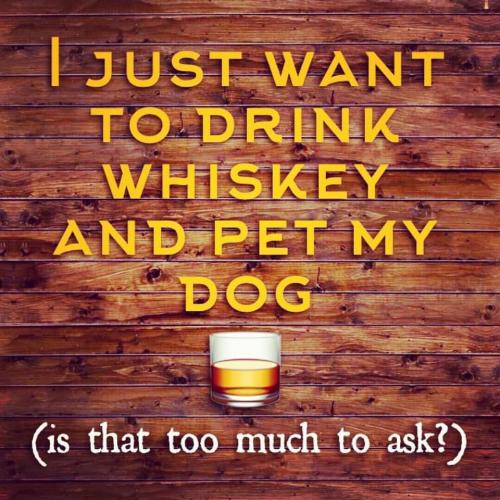 Whiskey - And pet my dog