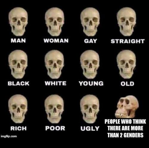 M more Genders