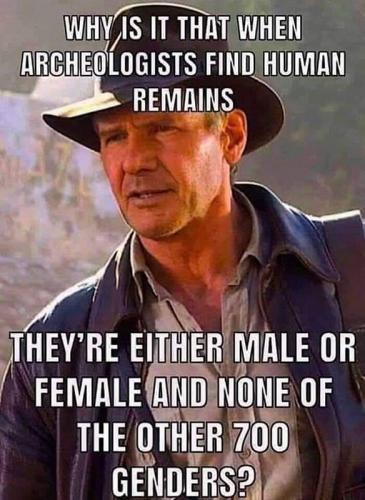 M genders