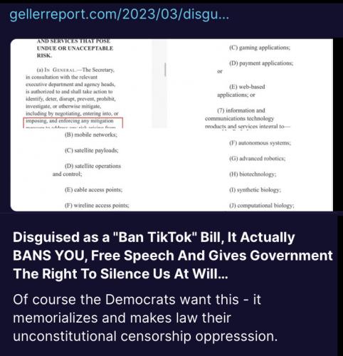 tic tok ban 13