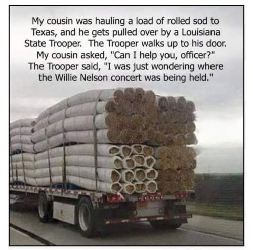 Willie