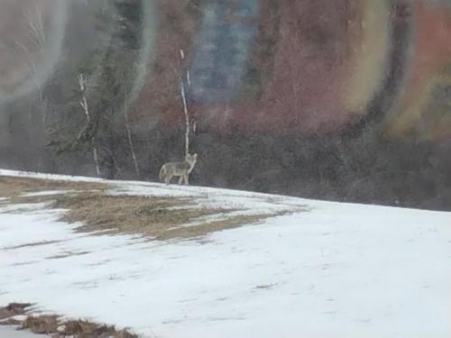 IMG_20230322_111137496