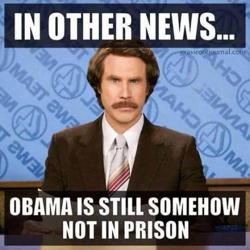 10945048_795459877158004_7723572425654125296_n