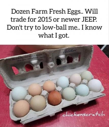 eggs1
