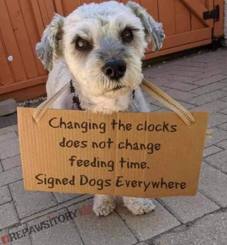 2un6bpazaqj7nwnnk9blumuhraczykss