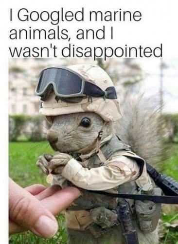 337387382_1625723827942513_3208130484268168845_n