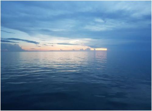 ss1atseaberryislands