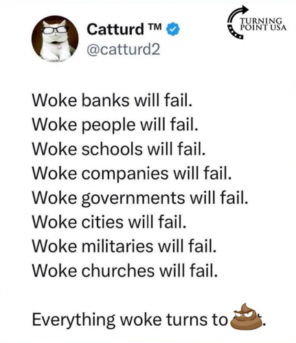 USA Woke fail