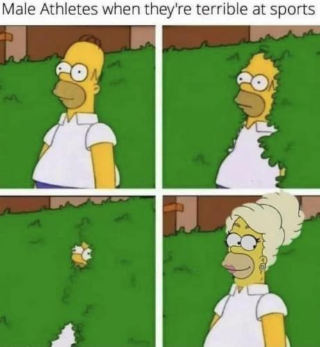 54BAF01A-A871-491F-B5D5-C33EF6501EF5