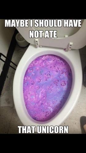 43511001_10160942116520313_1537134907946434560_n