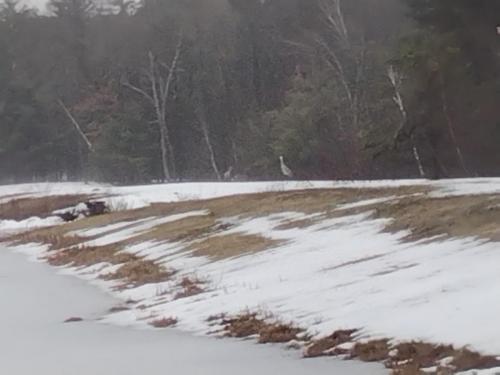 IMG_20230322_104637977