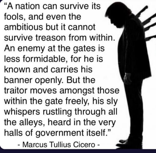 Screenshot_20230324_040149_Brave