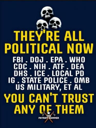 M all political