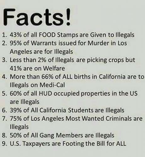 M facts