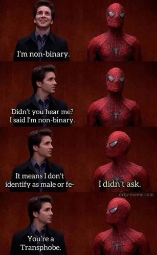336872883_225664093206359_4128459346107063555_n