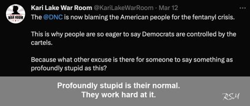 Dems profoundly stupid