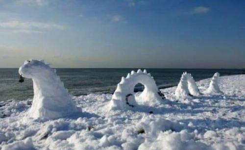 Snow-Ice Geometry -- Snow (Ice) Dragon