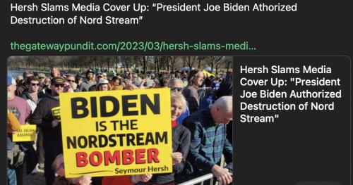 Biden terrorist NS