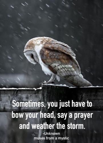 RO bow prayer
