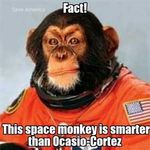 52038478_1953927988063759_2659120132487380992_n