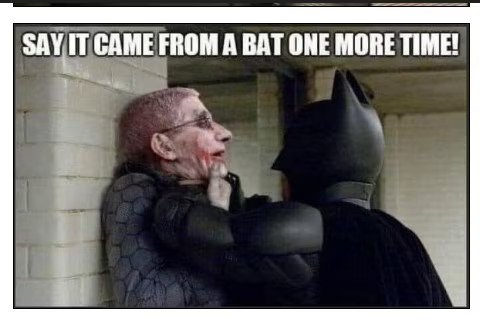 bat1