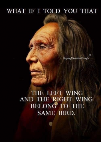 npy97dbzm47yzw9u6qzx8mgbcxjpb6nj