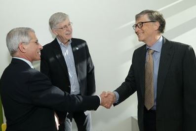 Gates-Fauci-TREASON