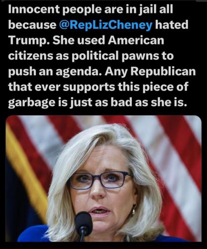 M Liz Cheney