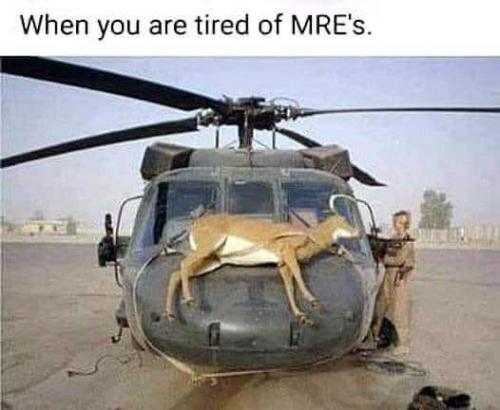 337832762_1222150138695812_5589879263289970037_n