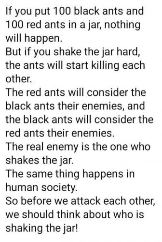 338445153_780089940126498_6132868848298577559_n