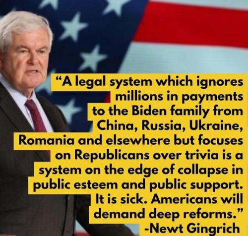 Legal system ignores   (maga)