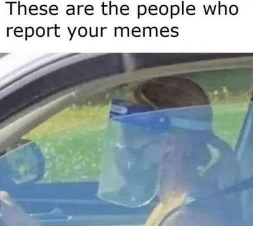 335607983_755555655925822_8007706410882377814_n