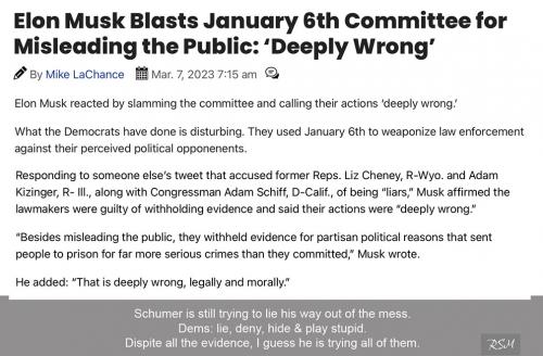 Musk 6 Jan truths
