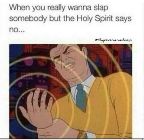 336741662_560296729532018_1692818206393472979_n