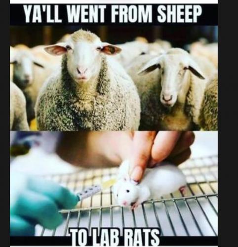 Screenshot_20230324_145201_DuckDuckGo