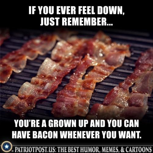 A bacon