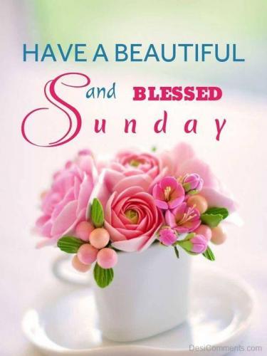 Beautiful Sunday Morning
