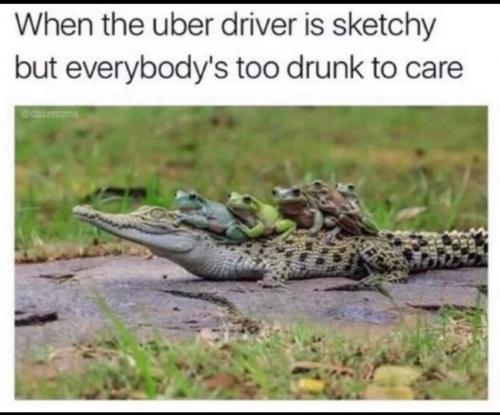 uber1