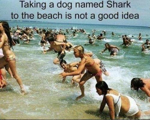 4D560E01-7799-4FBF-BF64-4BAA11FC3C81