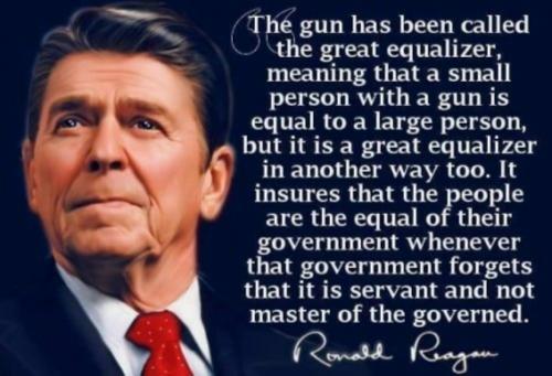 RO Reagan equalizer