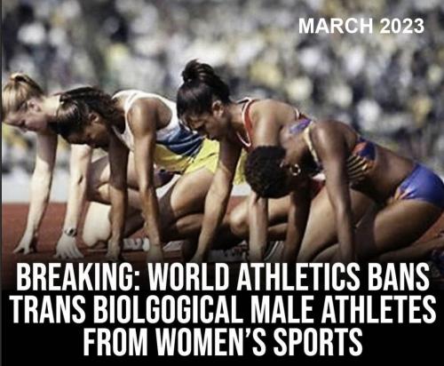trans ban women sports 11