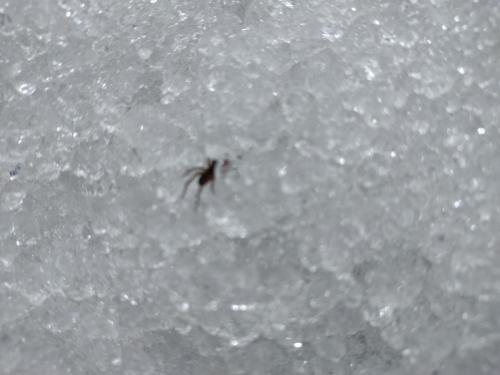 IMG_20230323_112840101